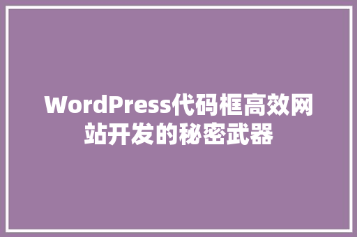 WordPress代码框高效网站开发的秘密武器