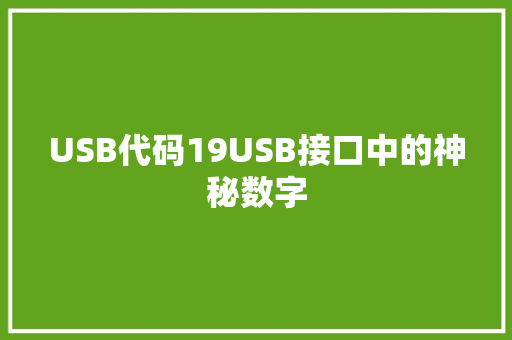 USB代码19USB接口中的神秘数字