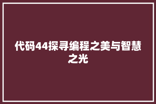 代码44探寻编程之美与智慧之光