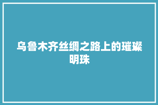 乌鲁木齐丝绸之路上的璀璨明珠