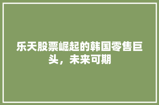 乐天股票崛起的韩国零售巨头，未来可期  第1张