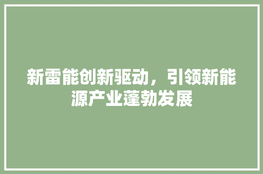 新雷能创新驱动，引领新能源产业蓬勃发展