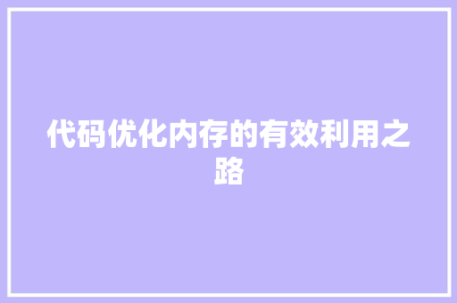 代码优化内存的有效利用之路