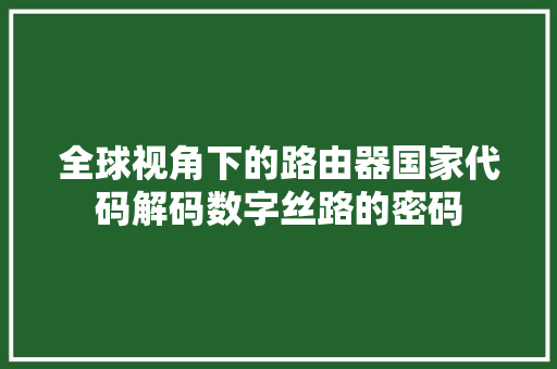 全球视角下的路由器国家代码解码数字丝路的密码