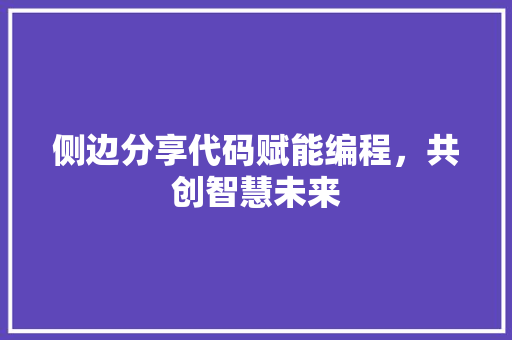 侧边分享代码赋能编程，共创智慧未来