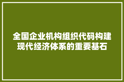 全国企业机构组织代码构建现代经济体系的重要基石