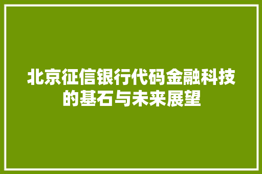北京征信银行代码金融科技的基石与未来展望