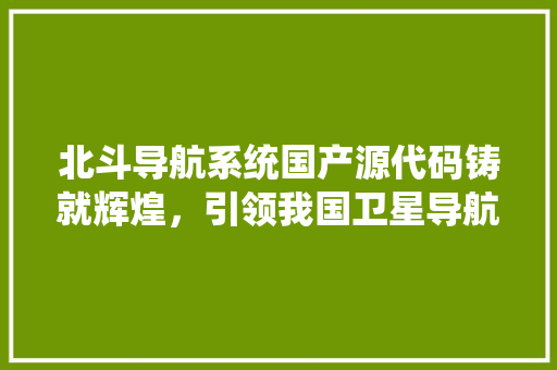 北斗导航系统国产源代码铸就辉煌，引领我国卫星导航事业腾飞