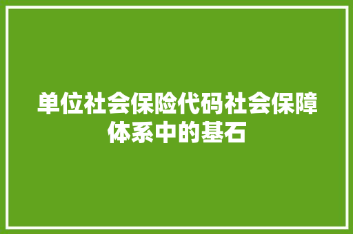 单位社会保险代码社会保障体系中的基石