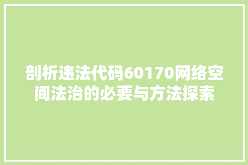 剖析违法代码60170网络空间法治的必要与方法探索