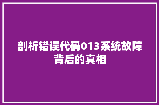 剖析错误代码013系统故障背后的真相