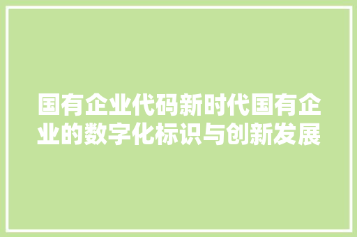 国有企业代码新时代国有企业的数字化标识与创新发展