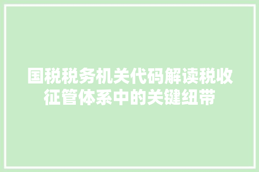 国税税务机关代码解读税收征管体系中的关键纽带