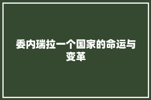 委内瑞拉一个国家的命运与变革