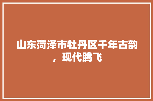 山东菏泽市牡丹区千年古韵，现代腾飞