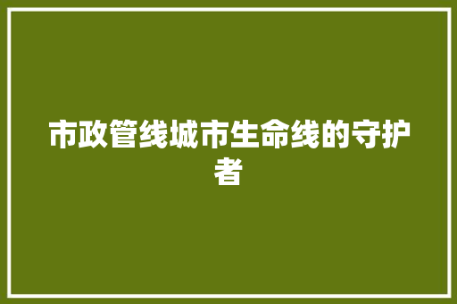 市政管线城市生命线的守护者