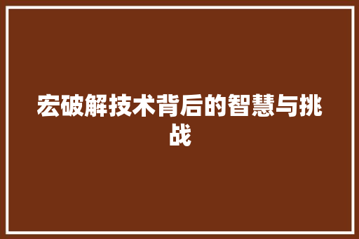 宏破解技术背后的智慧与挑战