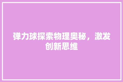 弹力球探索物理奥秘，激发创新思维