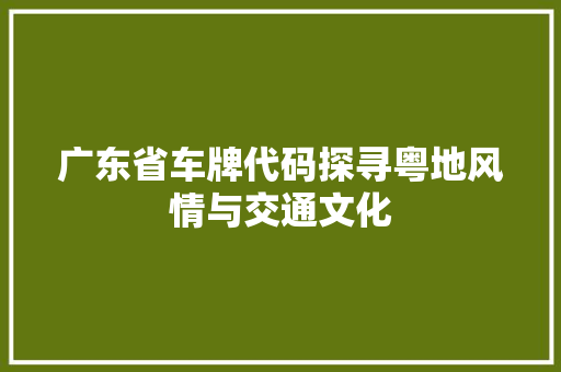 广东省车牌代码探寻粤地风情与交通文化