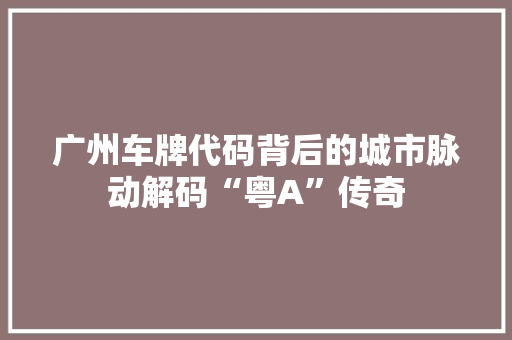 广州车牌代码背后的城市脉动解码“粤A”传奇