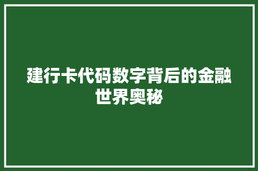 建行卡代码数字背后的金融世界奥秘