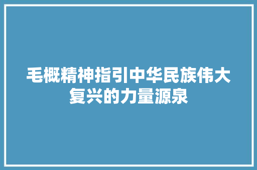 毛概精神指引中华民族伟大复兴的力量源泉