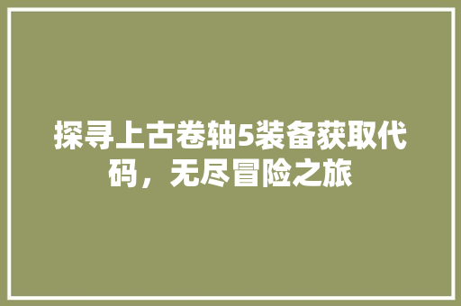 探寻上古卷轴5装备获取代码，无尽冒险之旅