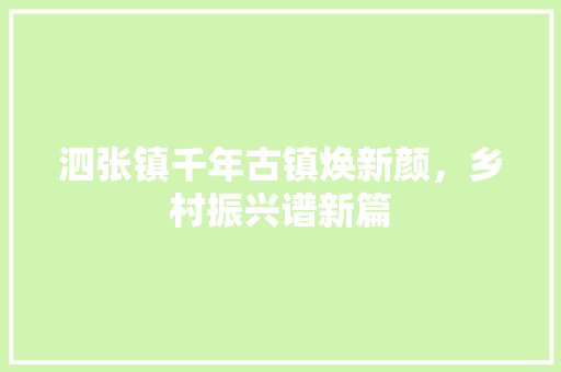 泗张镇千年古镇焕新颜，乡村振兴谱新篇
