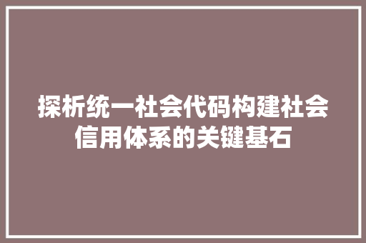 探析统一社会代码构建社会信用体系的关键基石