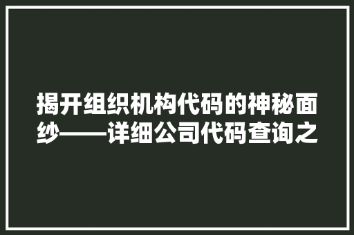 揭开组织机构代码的神秘面纱——详细公司代码查询之路