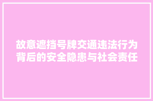 故意遮挡号牌交通违法行为背后的安全隐患与社会责任