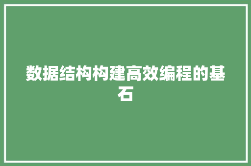 数据结构构建高效编程的基石