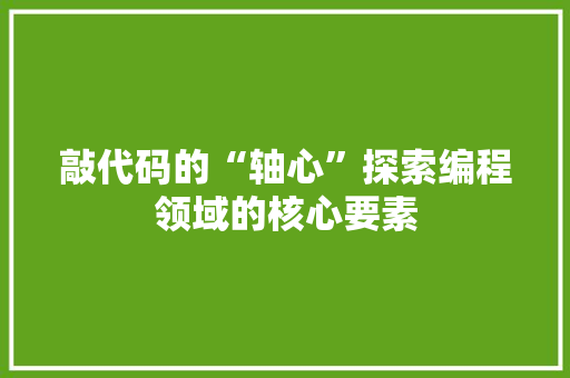 敲代码的“轴心”探索编程领域的核心要素  第1张