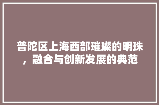 普陀区上海西部璀璨的明珠，融合与创新发展的典范