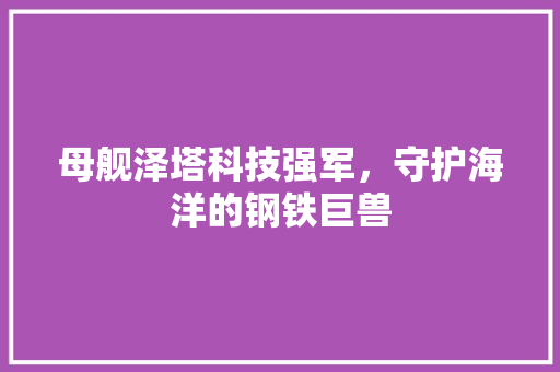 母舰泽塔科技强军，守护海洋的钢铁巨兽  第1张