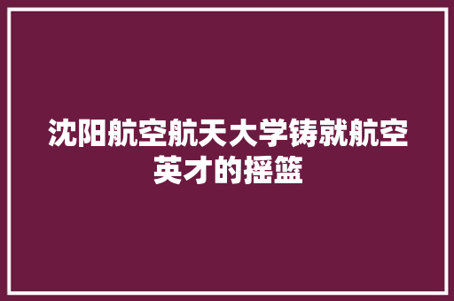 沈阳航空航天大学铸就航空英才的摇篮