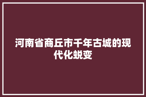 河南省商丘市千年古城的现代化蜕变  第1张