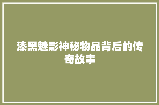 漆黑魅影神秘物品背后的传奇故事
