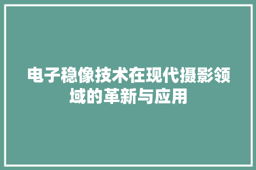 电子稳像技术在现代摄影领域的革新与应用
