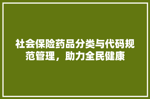 社会保险药品分类与代码规范管理，助力全民健康