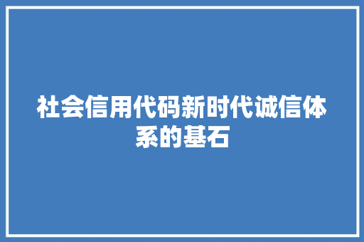 社会信用代码新时代诚信体系的基石
