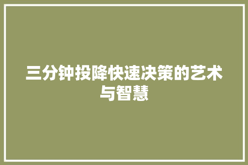 三分钟投降快速决策的艺术与智慧