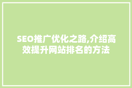 SEO推广优化之路,介绍高效提升网站排名的方法  第1张