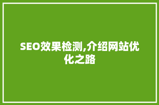 SEO效果检测,介绍网站优化之路