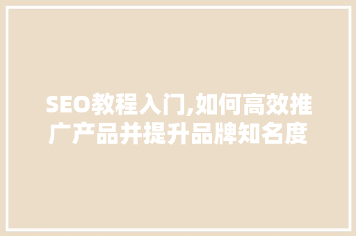 SEO教程入门,如何高效推广产品并提升品牌知名度