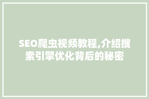 SEO爬虫视频教程,介绍搜索引擎优化背后的秘密