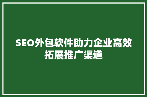SEO外包软件助力企业高效拓展推广渠道